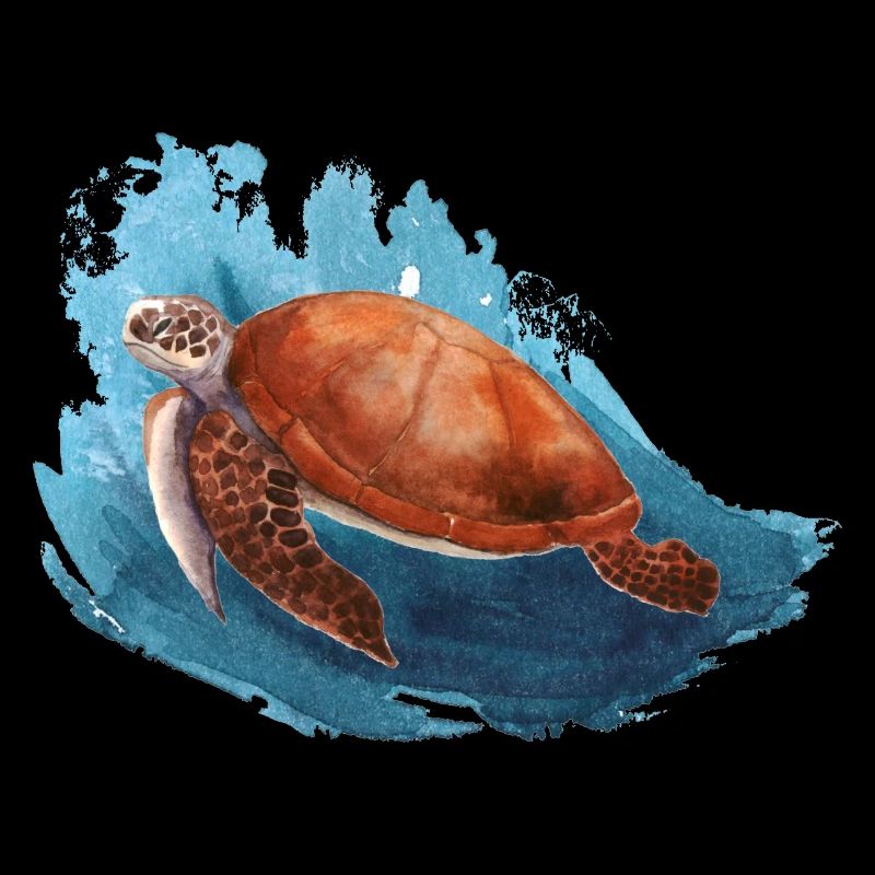 Schildkröte