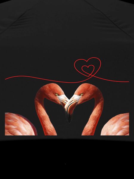 Greater flamingo Love