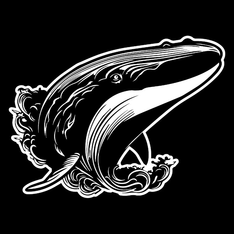 Baleine Poisson de mer