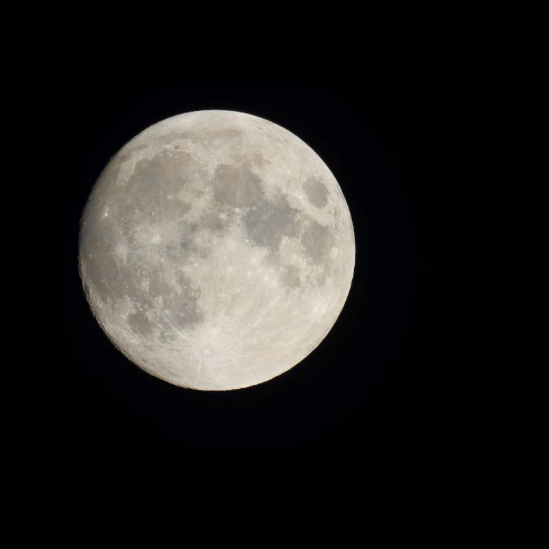 DSCN6071 2