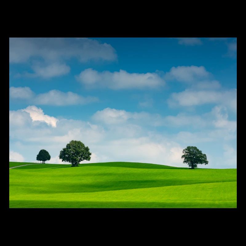Paysage apaisant