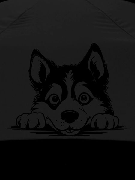 Siberian Husky