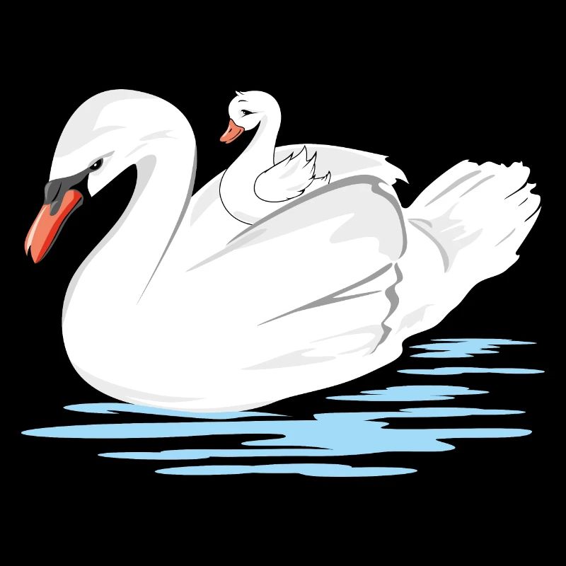 Une maman cygne blanc et son bébé