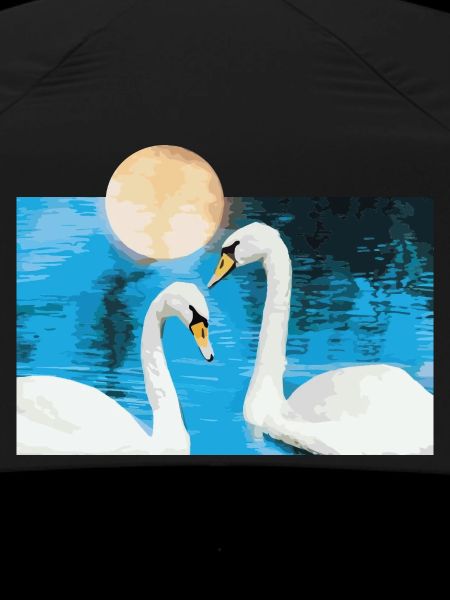 Swan