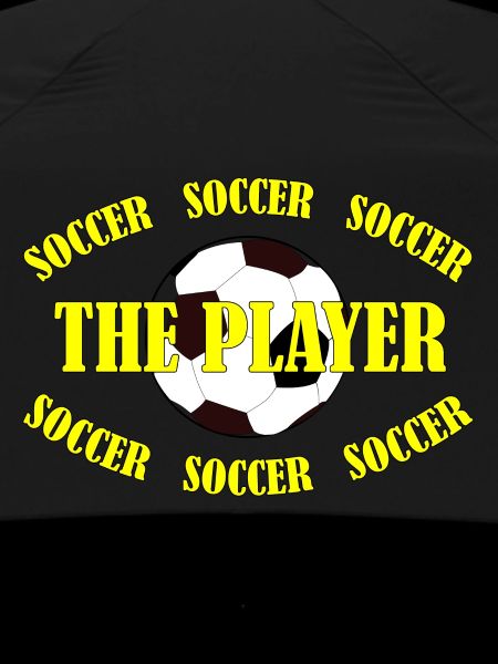 SOCCER - THE PLAYER