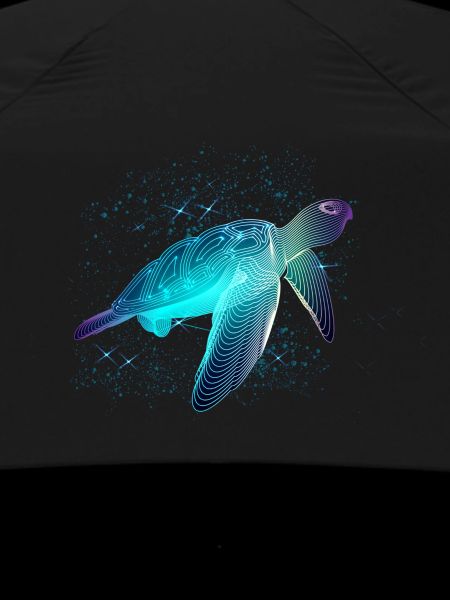 Turtle with stars