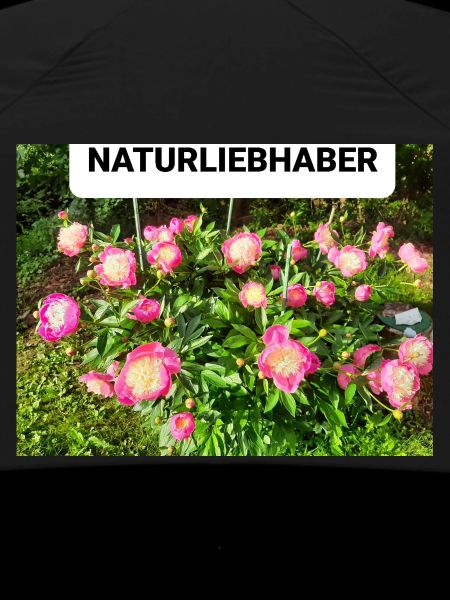 Peonies