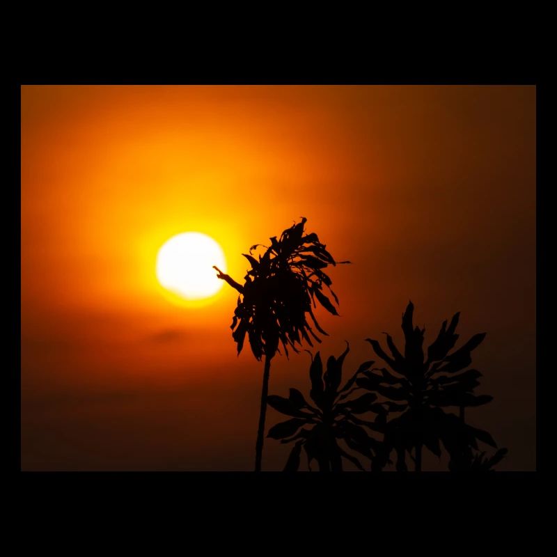 main de la nature sur le soleil