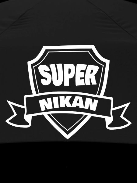Gift for Nikan