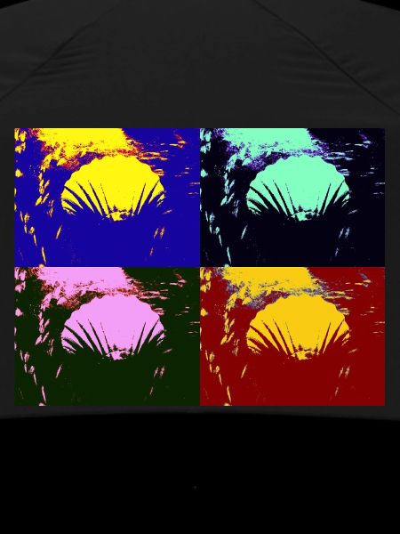Shell