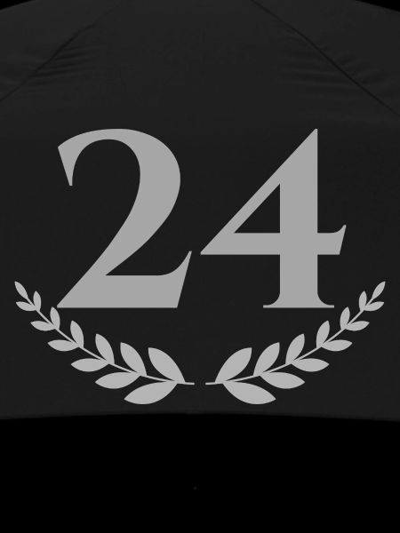 24