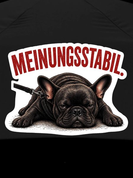 Frenchie – Meinungsstabil Bully