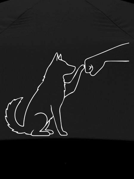 Équipe Husky Faust