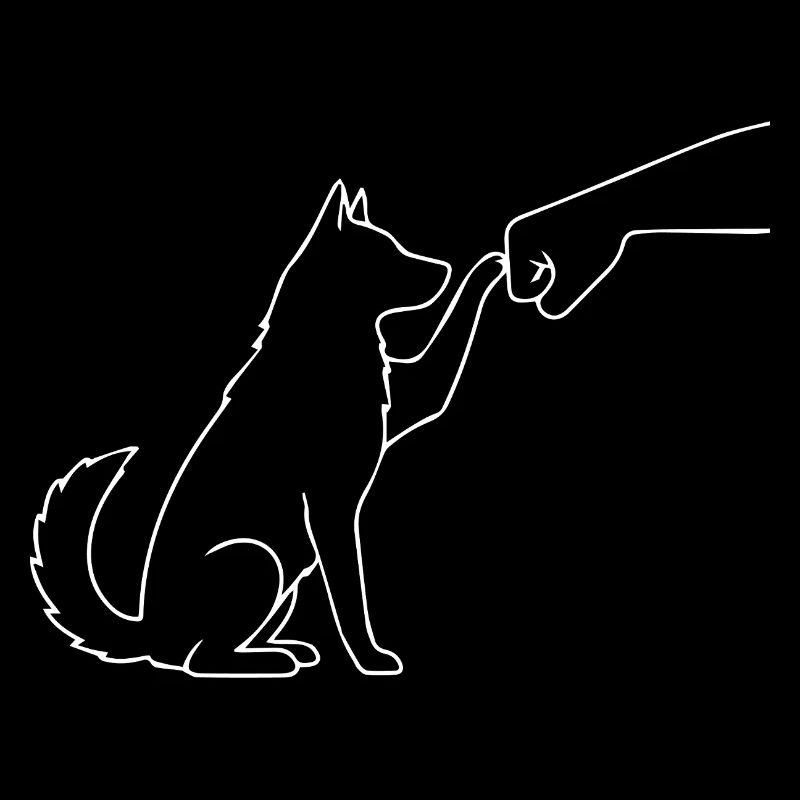 Husky Faust Team