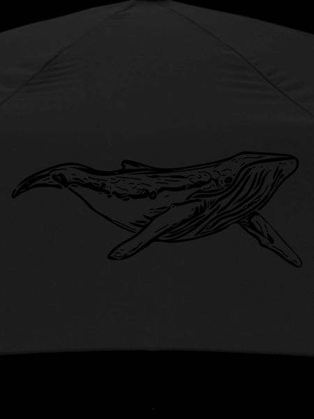 whale