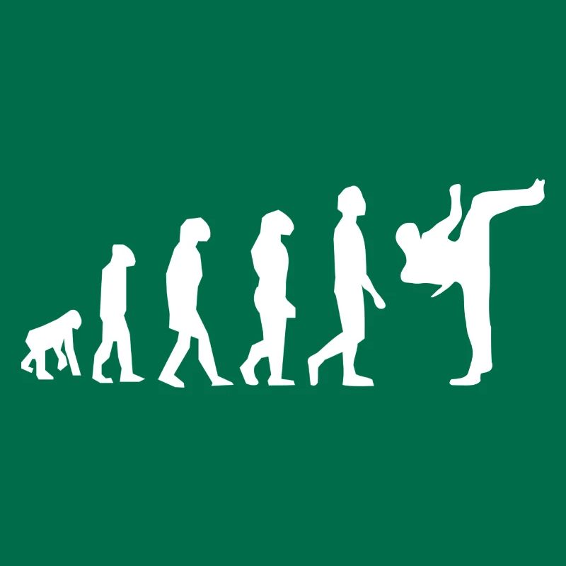 Martial arts evolution