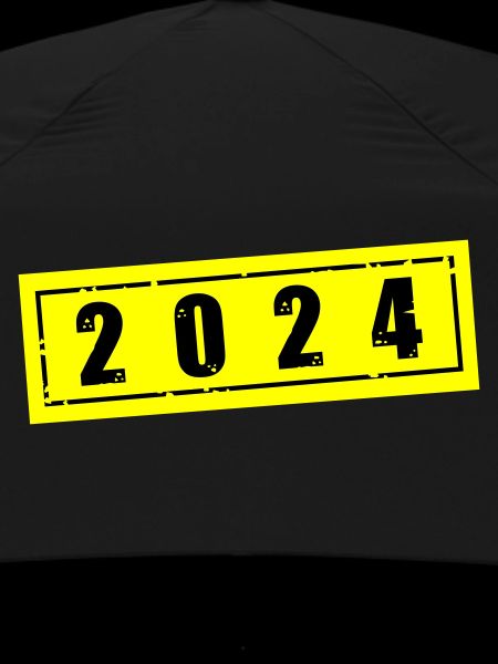 2024 year