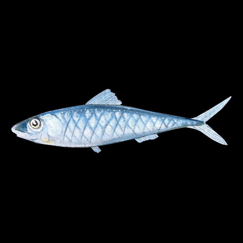 Poissons peints