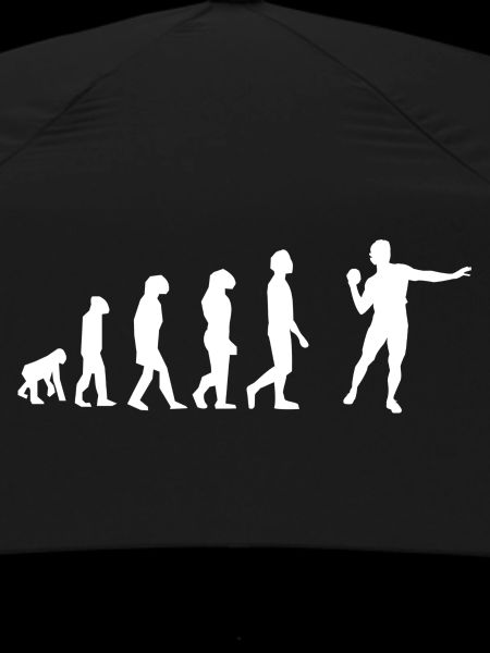 Evolution des Gewichtswurfs
