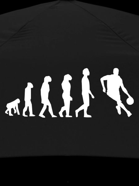 Basketball evolution