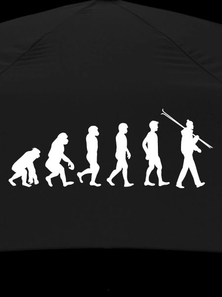 Evolution ski