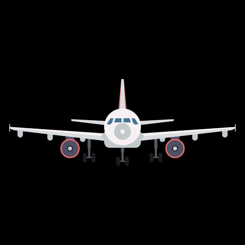 Flugzeug (von vorne)