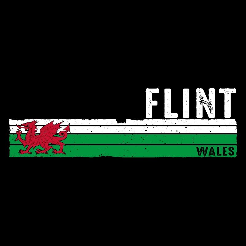 Entdecken Sie das Retro-inspirierte Stadtdesign von Flint Wales