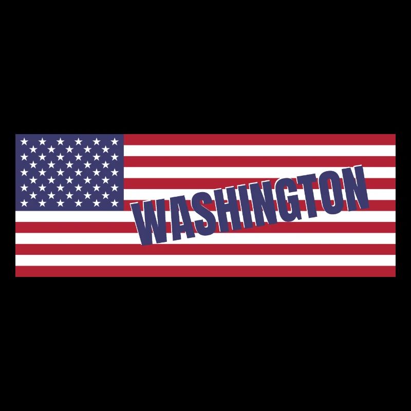 Washington DC State in American Flag