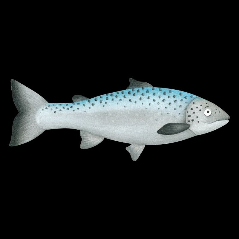 Saumon