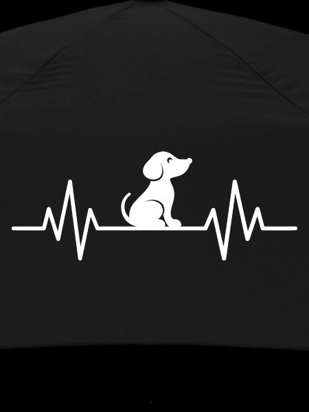 Dog Hund