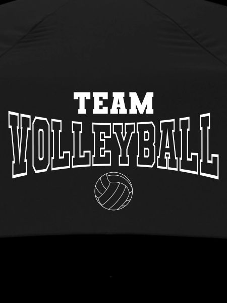 Équipe de volleyball