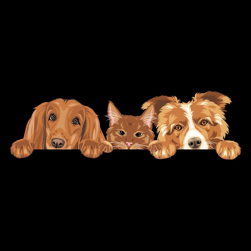 Coup d’œil mignon chat roux et deux chiens