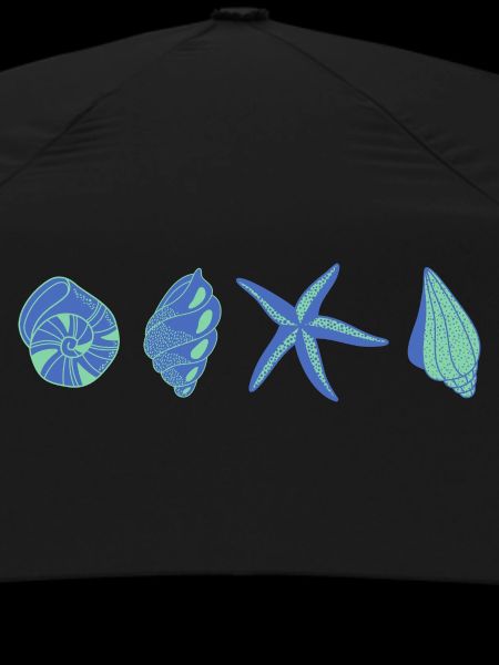 Blue Shells - Sea Animal