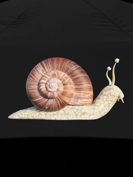 snail