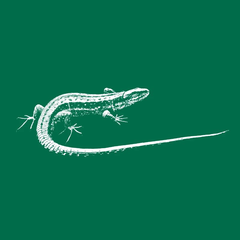 Eidechse / Lizard
