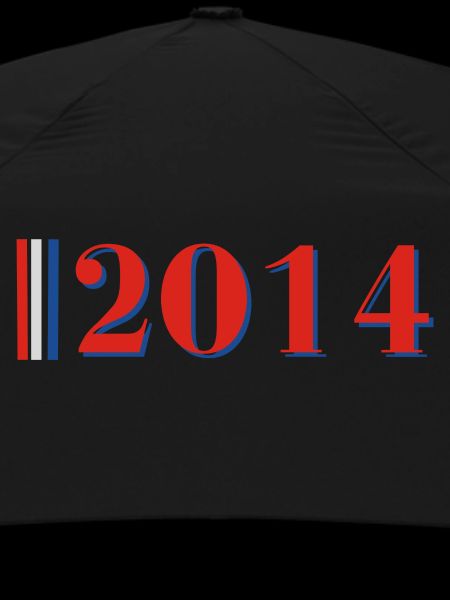 Year 2014