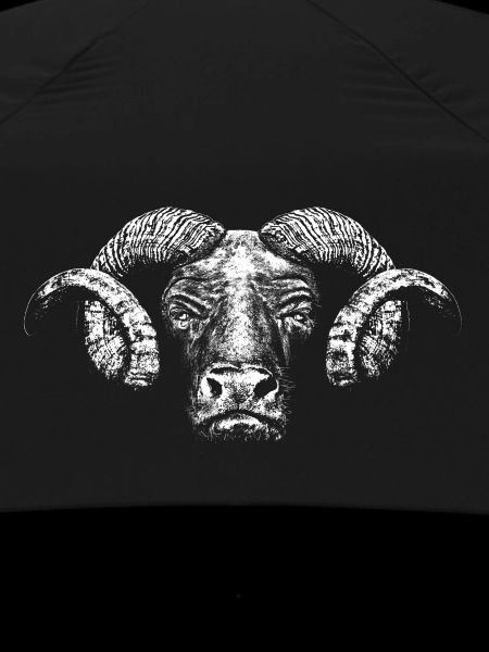 Minotaur / Head