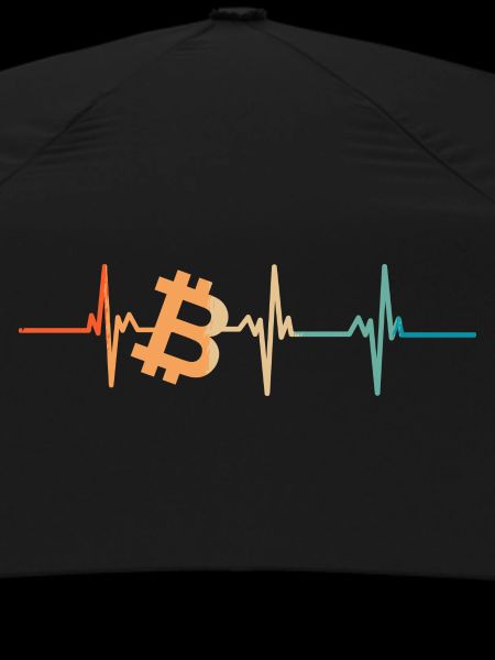 Bitcoin heartbeat