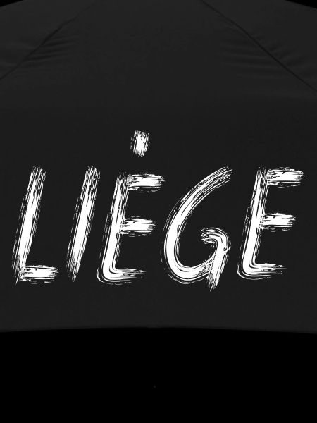 Liege City Brush Script