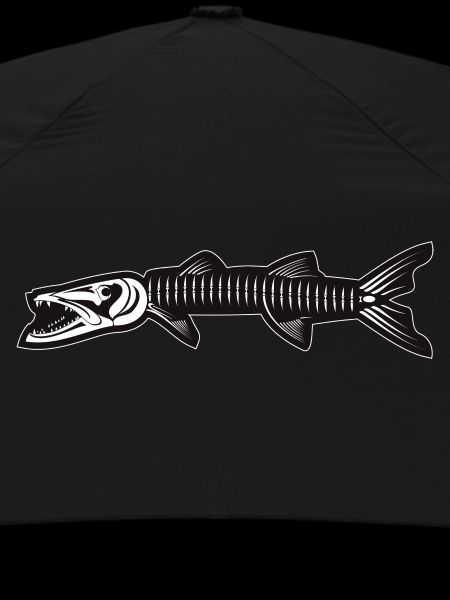 Skeleton of Barracuda