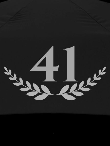 41