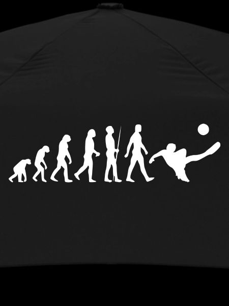 Fußball - Evolution