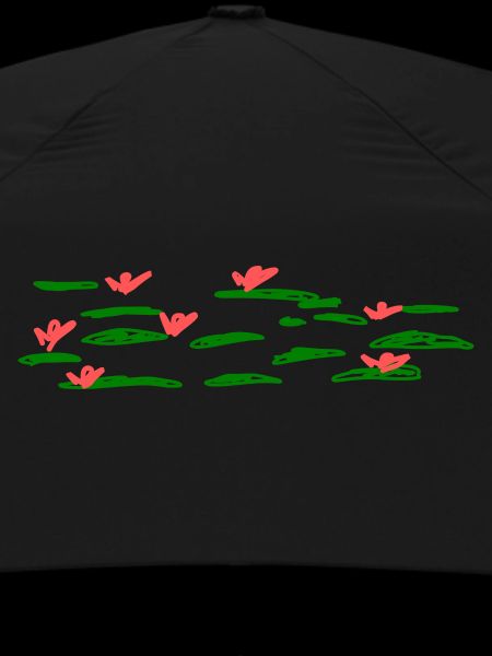 water lilies