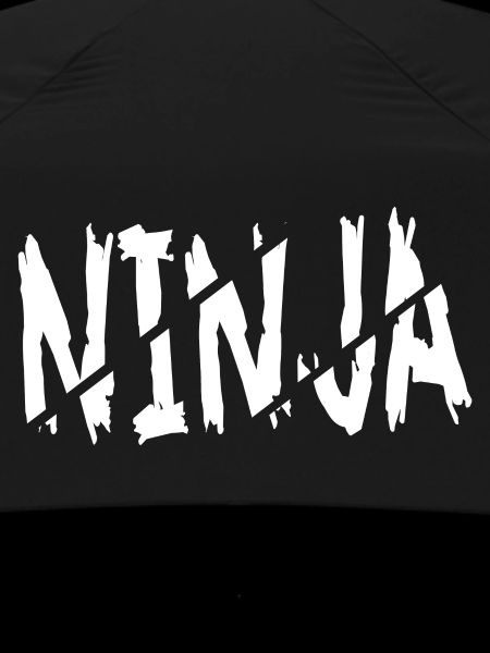 Ninja