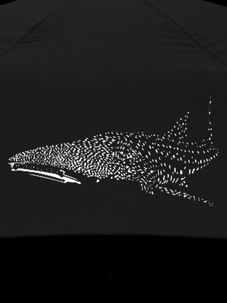 Whale shark