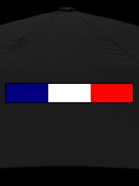 France Flag