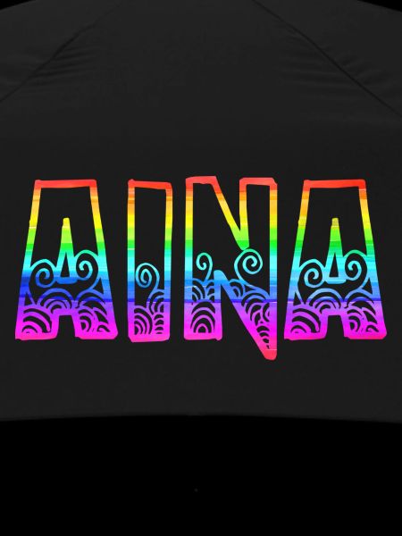 aina rs rainbow