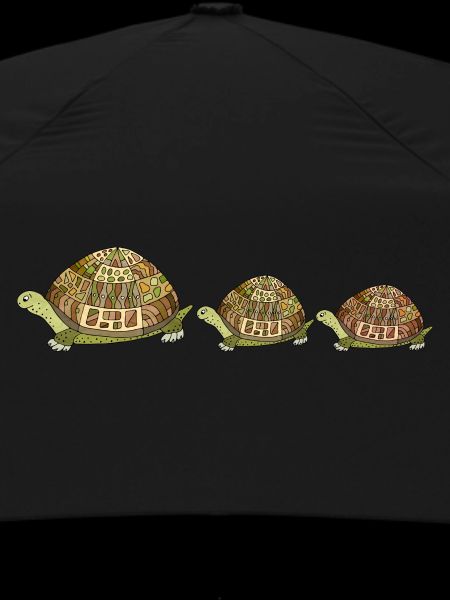 Turtles