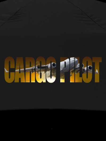 Cargo pilot C-17