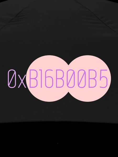 0xB16B00B5 Leetspeak